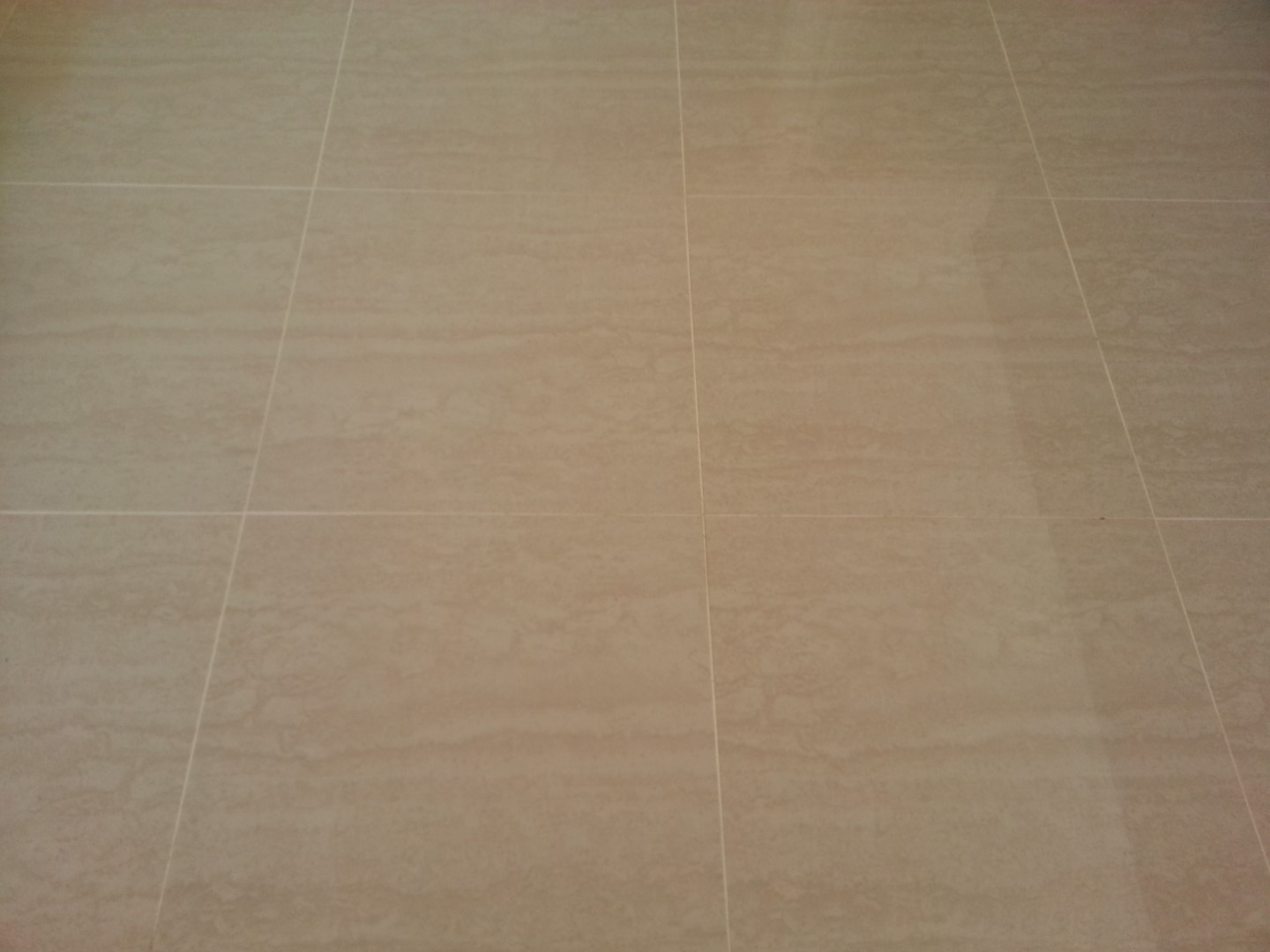 Porcelain Floor Tile Cleaning and Sealing